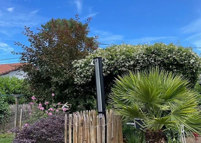 Augusta - Rénovée Avec Piscine à 10 Minutes Des Plages Casa vacanze Mimizan-Plage